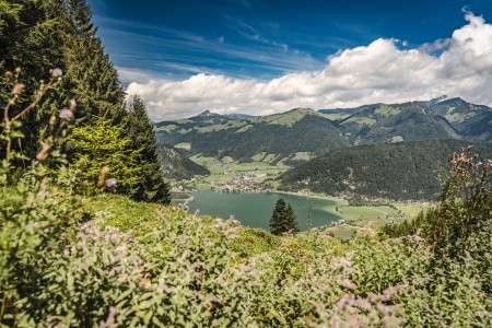 Ferienclub Bellevue Am Walchsee - 17