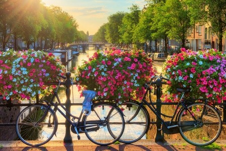 5-dňový zájazd do Beneluxu - 20