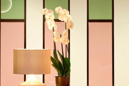 Wyndham Athens Residence - 56