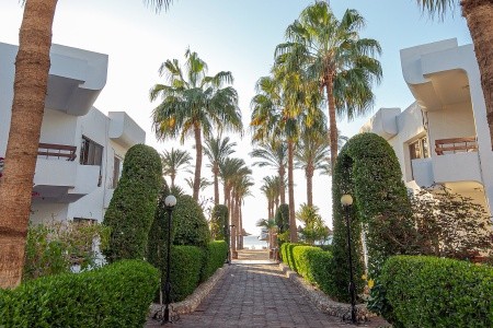 Marlin Inn Azur Resort - 3