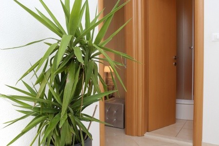 Apartmány 3298-2269 - 29