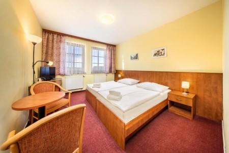 Záviš Z Falkenštejna - 6