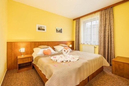 Záviš Z Falkenštejna - 7