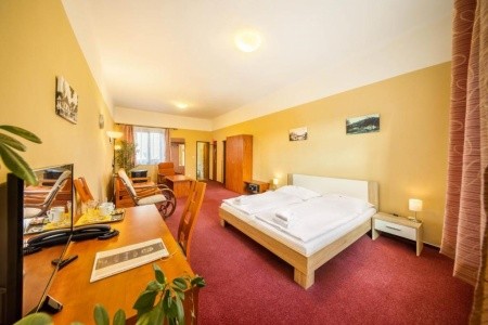 Záviš Z Falkenštejna - 8