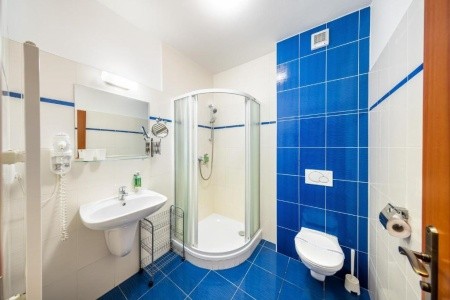 Záviš Z Falkenštejna - 10