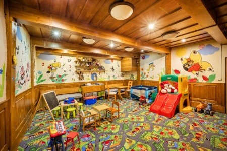 Záviš Z Falkenštejna - 11