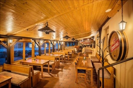 Záviš Z Falkenštejna - 12