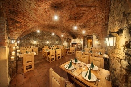 Záviš Z Falkenštejna - 13