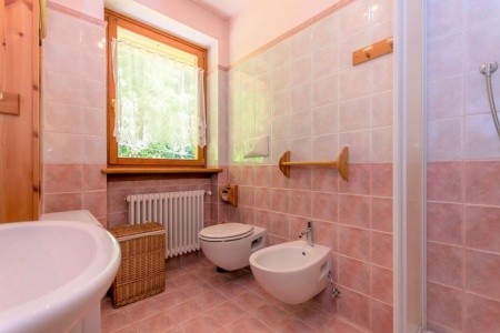 Apartmány Alleghe - Malga Ciapella - 59