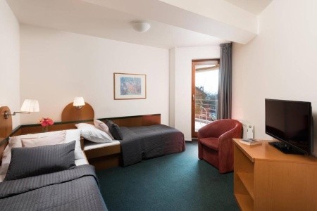 Česká republika Praha a okolie Troja 5 dňový pobyt Raňajky Vlastná February 2026 (13/02/26-17/02/26)