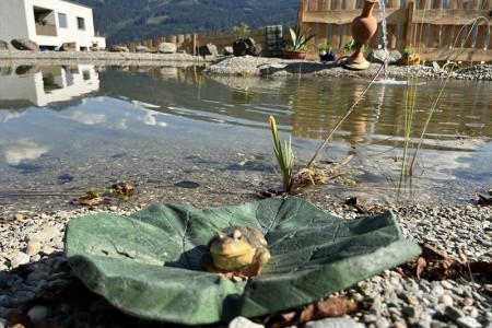 Limberghof (Zell Am See) - 36