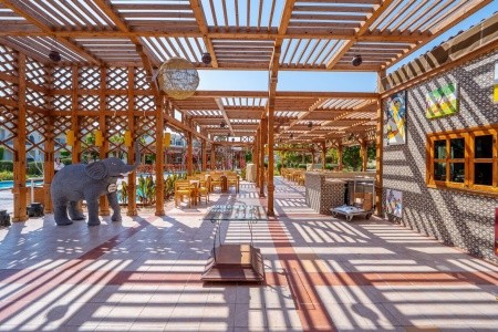 Jaz Royal Palmariva (Ex. Labranda Royal Makadi) - 23