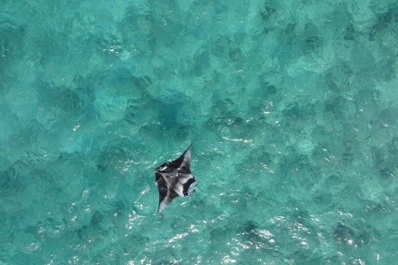 Maldivy  Biosphere By Hawks Hotels Kamadhoo Baa Atoll 9 dňový pobyt Polpenzia Letecky Letisko: Praha March 2026 (27/03/26- 4/04/26)