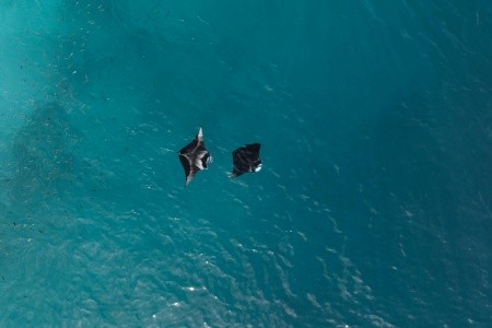 Maldivy  Biosphere By Hawks Hotels Kamadhoo Baa Atoll 9 dňový pobyt Polpenzia Letecky Letisko: Praha March 2026 (27/03/26- 4/04/26)