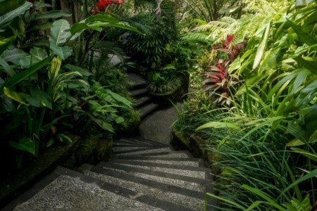 Sakti Garden Resort & Spa - 23