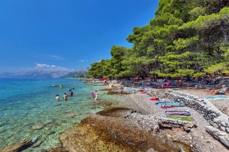 Alemaris (Ex. Alem) - 2