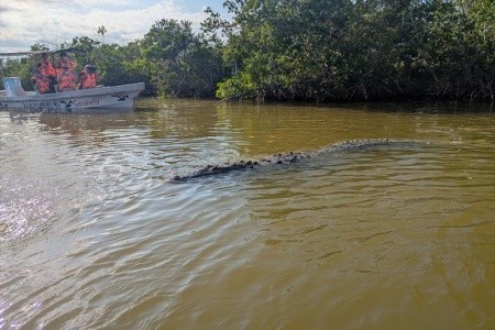 Mexiko, okruh po stopách Mayů a relax v ráji - 10