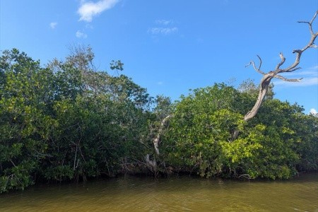 Mexiko, okruh po stopách Mayů a relax v ráji - 11