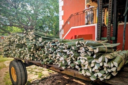 Mexiko, okruh po stopách Mayů a relax v ráji - 15