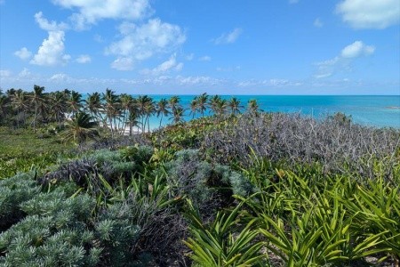 Mexiko, okruh po stopách Mayů a relax v ráji - 26