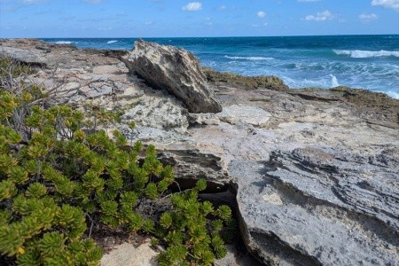 Mexiko, okruh po stopách Mayů a relax v ráji - 27