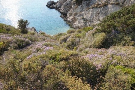 Korfu s turistikou - 4