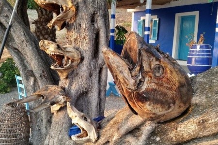 Korfu s turistikou - 7