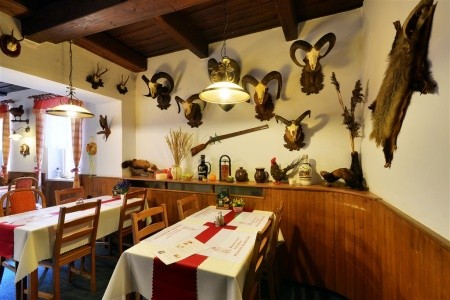 Penzion Rampušák (Rokytnice) - 9