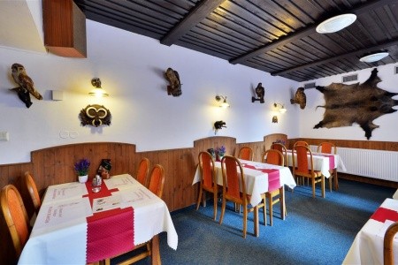 Penzion Rampušák (Rokytnice) - 11