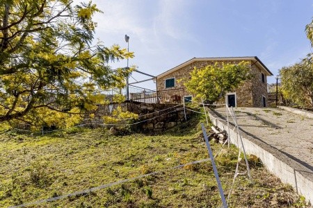 Agriturismo Le Mimose - 8