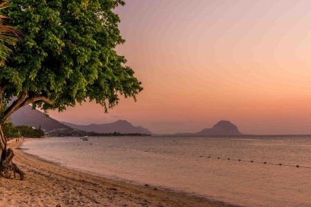 Hilton Mauritius Resort & Spa - 35