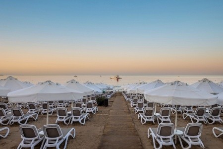 Side Star Elegance (Ex. Asteria Side) - 275