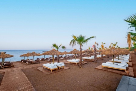 Rubi Platinum Sign - 81