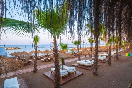 Rubi Platinum Sign - 82