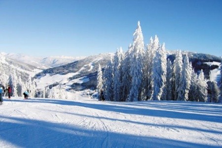 Landhaus Salzburg - 4