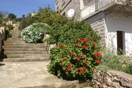 Apartmány 3298-800 - 11