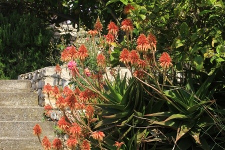 Apartmány 3298-800 - 14