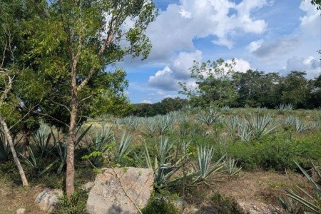 Mexiko, okruh po stopách Mayů a relax v ráji - 35