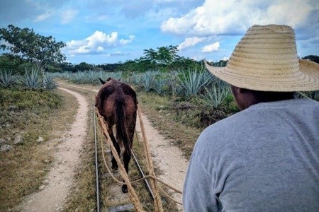 Mexiko, okruh po stopách Mayů a relax v ráji - 37