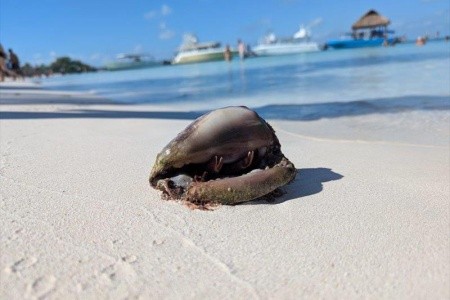 Mexiko, okruh po stopách Mayů a relax v ráji - 43
