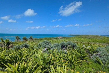 Mexiko, okruh po stopách Mayů a relax v ráji - 44