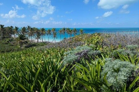 Mexiko, okruh po stopách Mayů a relax v ráji - 45