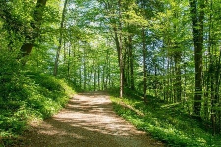 Slovinské termální lázně Rimske Terme (autobusem) – s výlety a degustacemi - 32