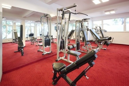 Aminess Lume (Ex. Feral) - 20