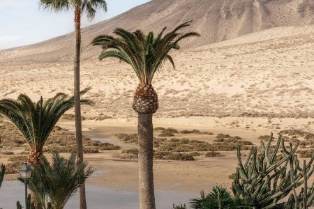 Paradisus By Meliá Fuerteventura - 162