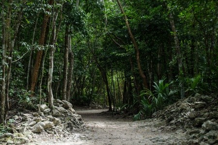 To nejlepší z Yucatánu ve svátek mrtvých Dia de Los Muertas - 18