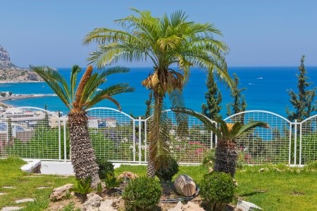 Studia Bella Vista - 10