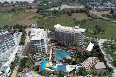 Cenger Blue Collection - 79