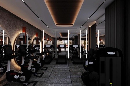 Cenger Blue Collection - 174