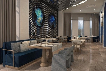 Cenger Blue Collection - 184